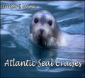 atlantic-seal-cruises